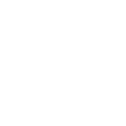 Intake