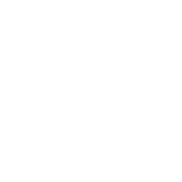 Suspension